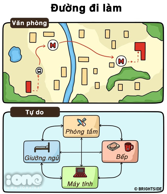 đường tới công ty