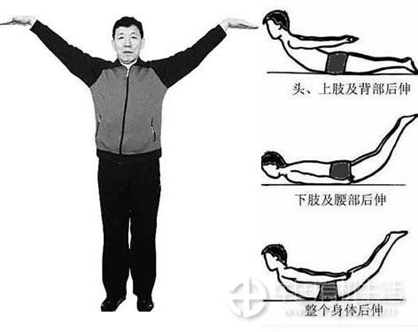 động tác chim yến động tác chim yến