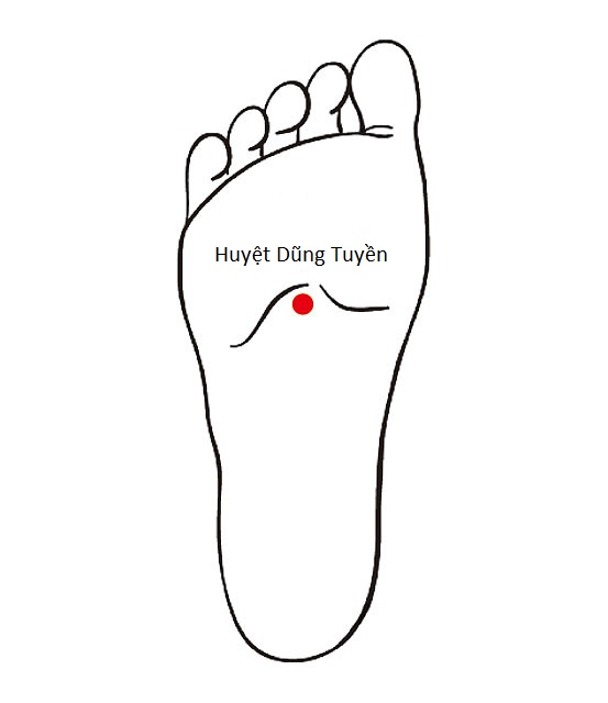 huyệt dũng tuyền huyệt dũng tuyền