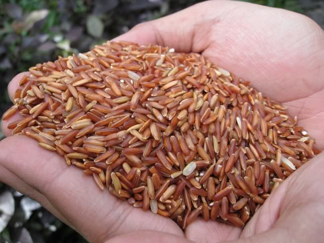 Cách điều trị bệnh thoái hóa cột sống bằng gạo lứt