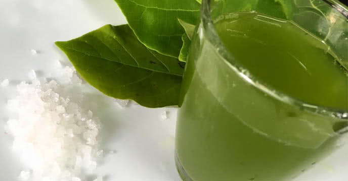 Chữa viêm họng bằng lá bàng đảm bảo không tái phát