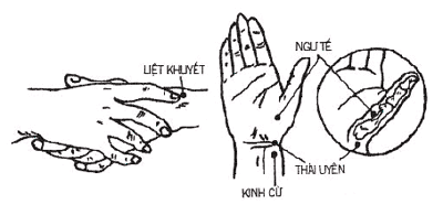 huyệt liệt khuyết huyệt liệt khuyết