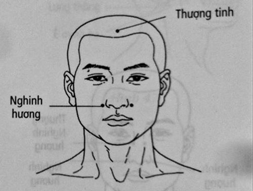 huyệt nghinh hương huyệt nghinh hương