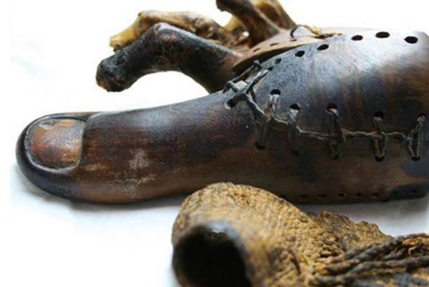 ngón chân gỗ ngón chân gỗ