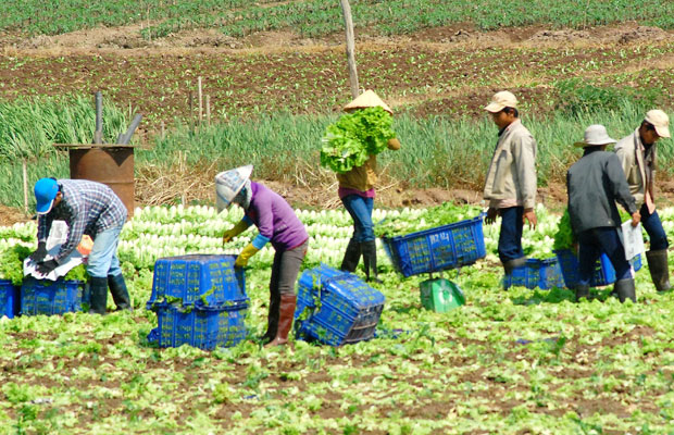 5 nhóm lao động có nguy cơ mắc thoái hóa đốt sống cổ cao