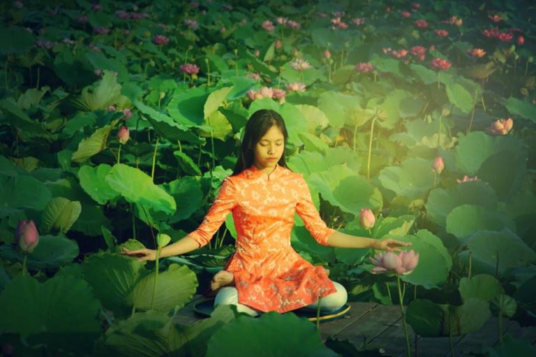 pháp luân công pháp luân công