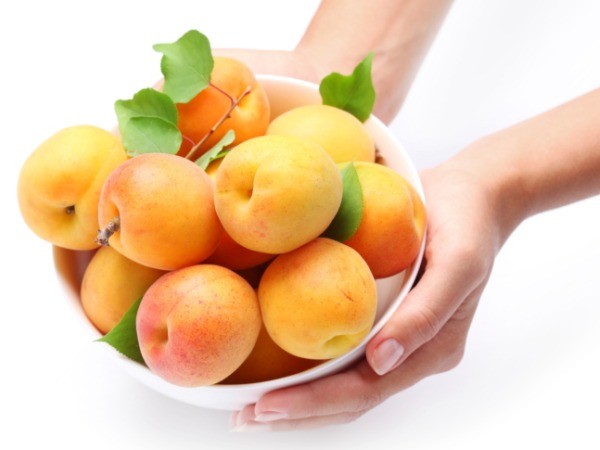 quả mơ quả mơ