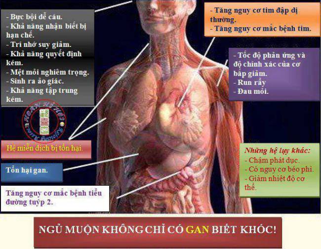tác hại của thức khuya tác hại của thức khuya