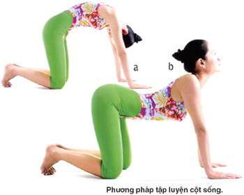 Đau lưng nên nghỉ ngơi hay luyện tập?