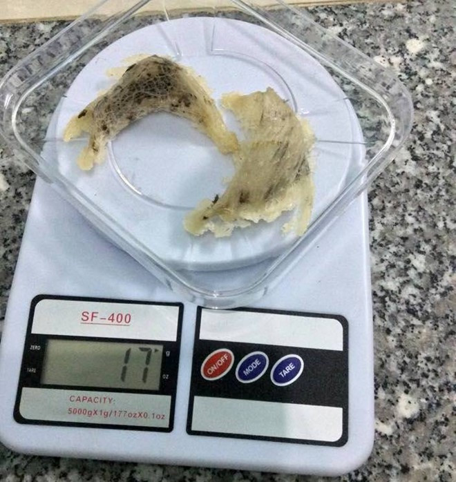 Khi nào nên dùng tổ yến để tẩm bổ?
