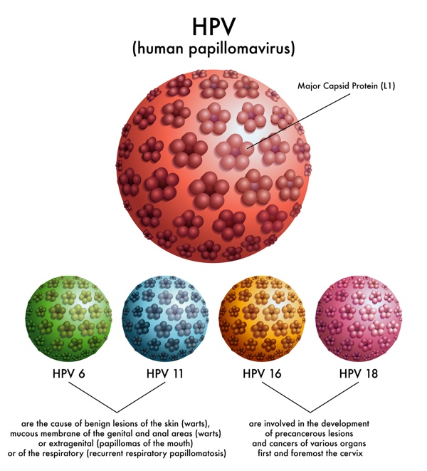 7 điều cần biết về virus HPV