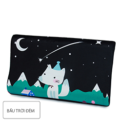 Bầu trời đêm