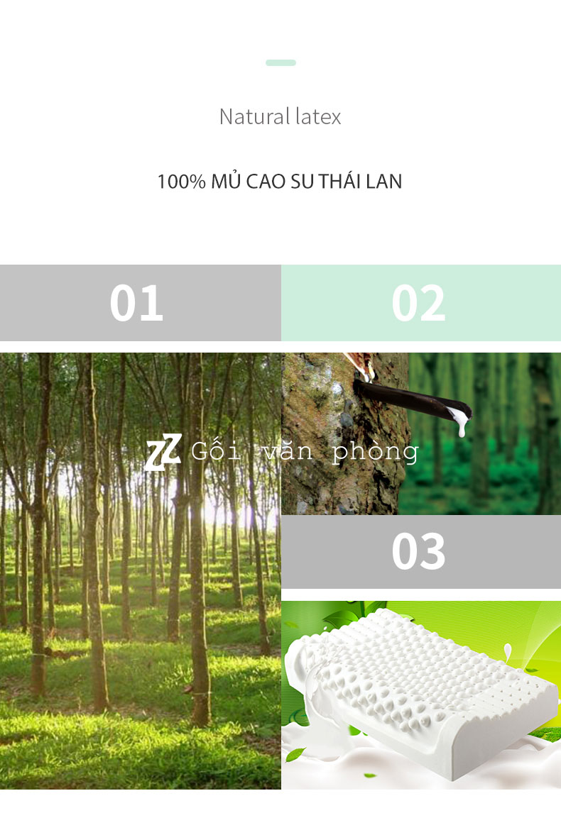 mủ cao su mủ cao su